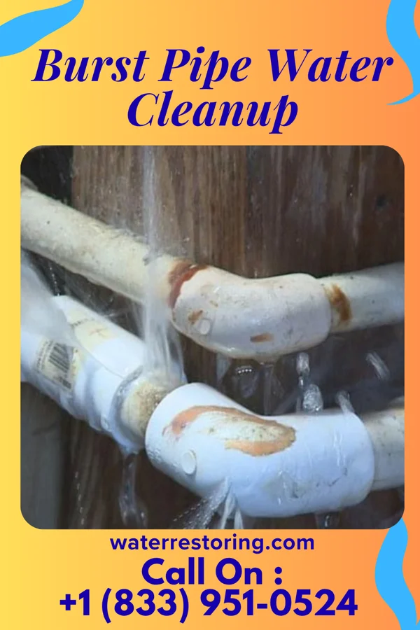 Burst Pipe Water Cleanup in Heeney, CO