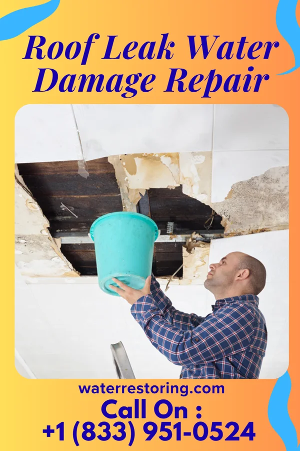 Roof Leak Water Damage Repair in Heeney, CO